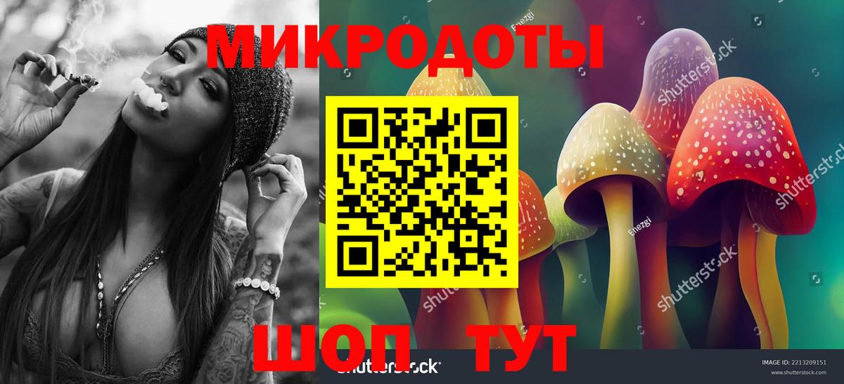 Малгобек  Галлюциногенные грибы прущие грибы  Вход с VPN 