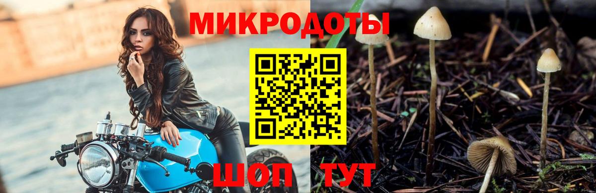 Галлюциногенные грибы мицелий Малгобек